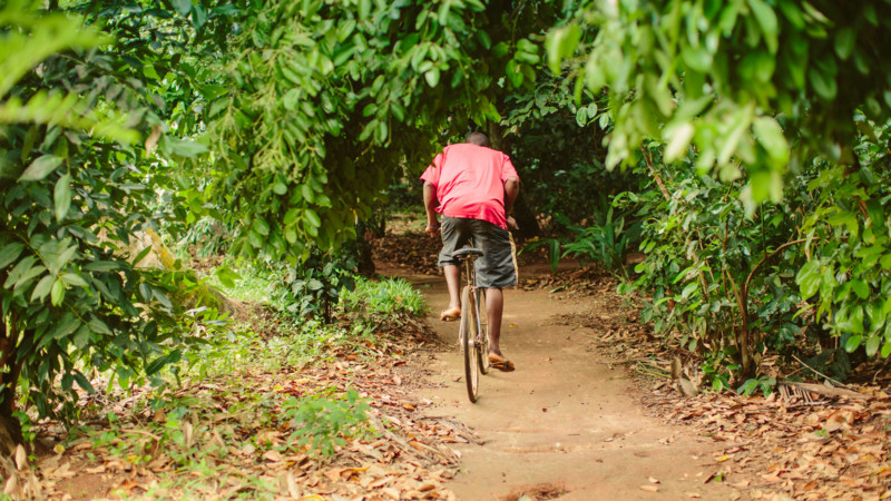 Utforska Zanzibar bortom turiststråken – med cykel, buss eller tuktuk