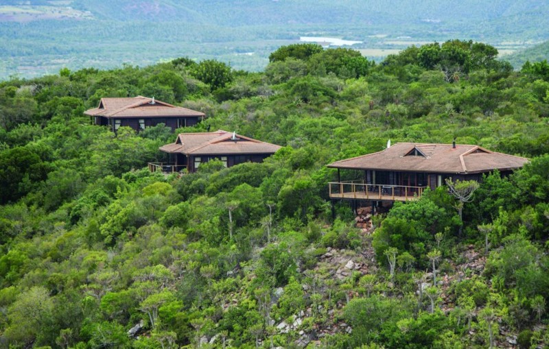 Plötsligt har en elefanthjord blockerat vägen, för en stud står tiden stilla...Vi återvänder till Kariega Main Lodge med ett leende på läpparna och sovande barn.