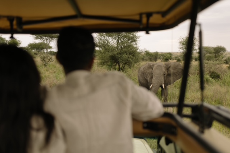 Afrikas st&ouml;rsta elefant