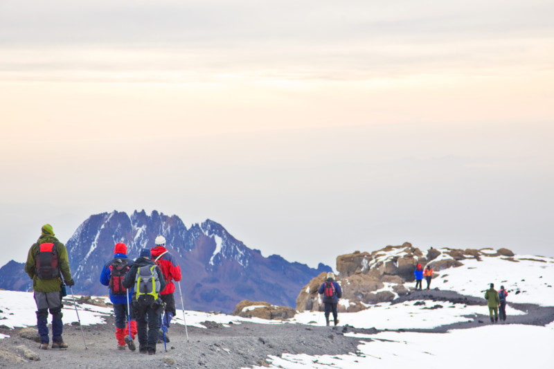 Snötäckta glaciärer och vandrare på Kilimanjaro