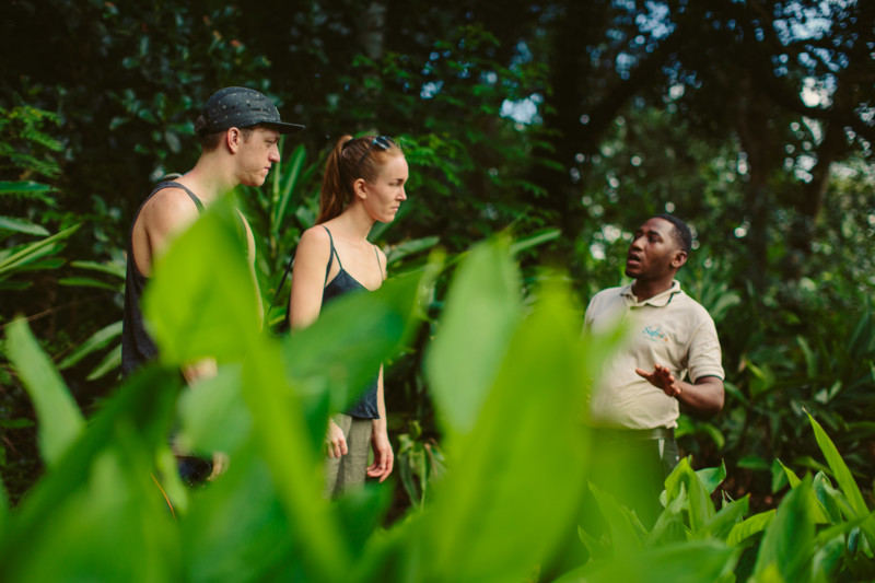 En bra researrang&ouml;r ger tips utefter sina erfarenheter