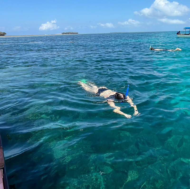 Snorkling och dykning p&aring; Zanzibar