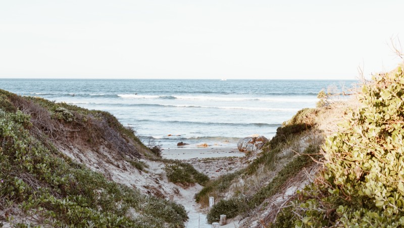 Valsafari från Hermanus.
