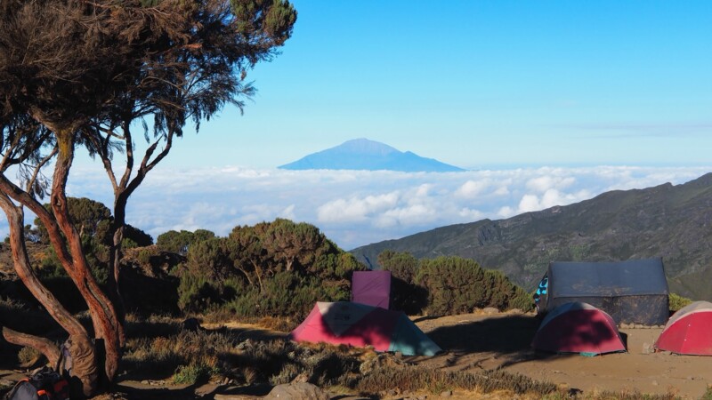 Utsikt mot Kilimanjaro i fj&auml;rran