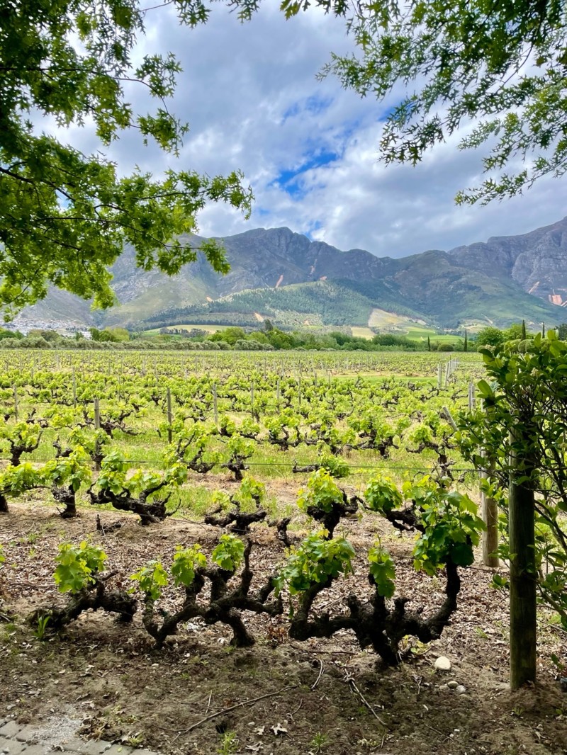 Vindistriktet i Sydafrika