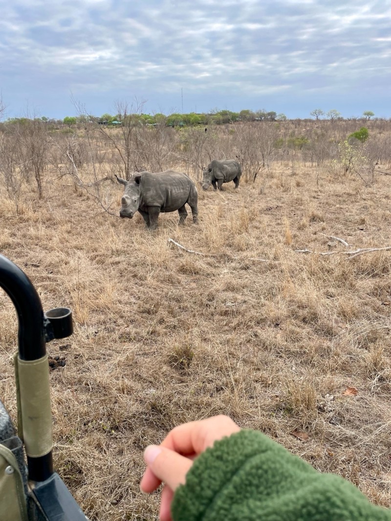 Nosh&ouml;rningar i Sydafrika