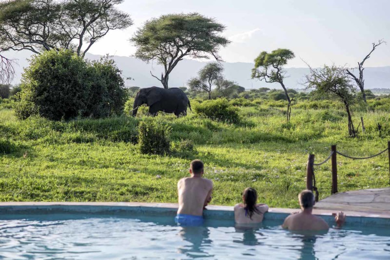 Ett boende inne i safariparken kan kosta mer, men det g&ouml;r stor skillnad p&aring; upplevelsen.