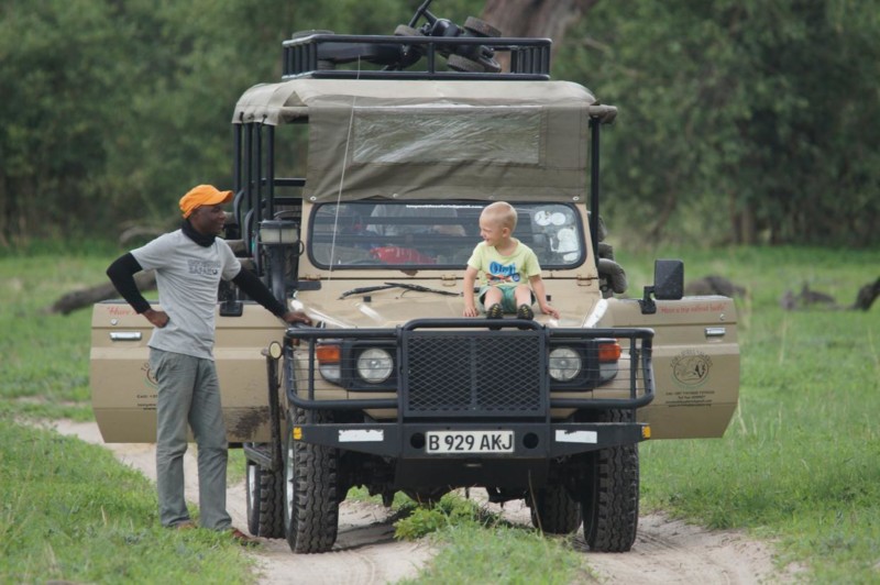 Safariäventyr i Botswana