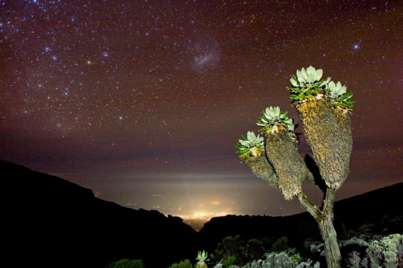 Stjärnklar himmel på Kilimanjaro